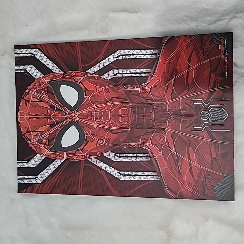 🕸 🕷 Spiderman Wall Frame